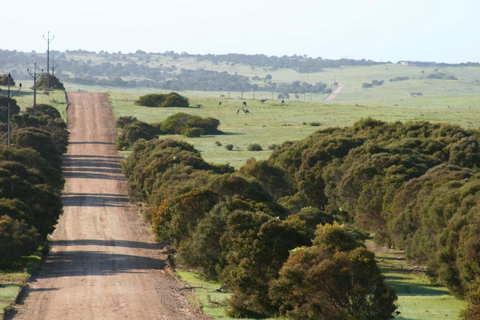 Almonta Park Lodge - Tourism Gold Coast 4