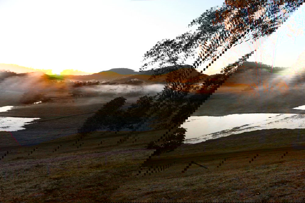 Cambroon QLD Tourism Gold Coast