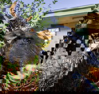 Big4 Shepparton Park Lane - Tourism Gold Coast