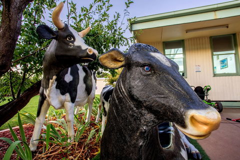 Big4 Shepparton Park Lane - Tourism Gold Coast 0