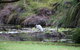 Salamander Bay Bed & Breakfast - thumb 5