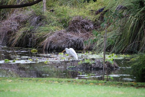 Salamander Bay Bed & Breakfast - Tourism Gold Coast 5