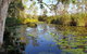 Salamander Bay Bed & Breakfast - thumb 3