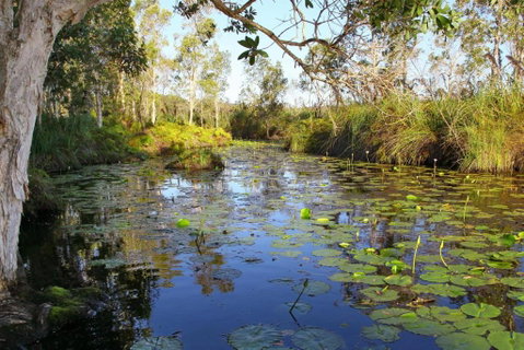 Salamander Bay Bed & Breakfast - Tourism Gold Coast 3