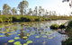Salamander Bay Bed & Breakfast - thumb 4