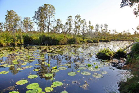 Salamander Bay Bed & Breakfast - Tourism Gold Coast 4