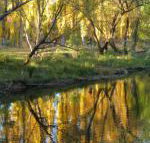 On The Banks - Tourism Gold Coast