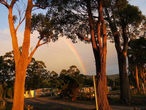 Captain Cook Holiday Park - Tourism Gold Coast 5