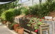 Eumundi Guesthouse & B & B - thumb 4