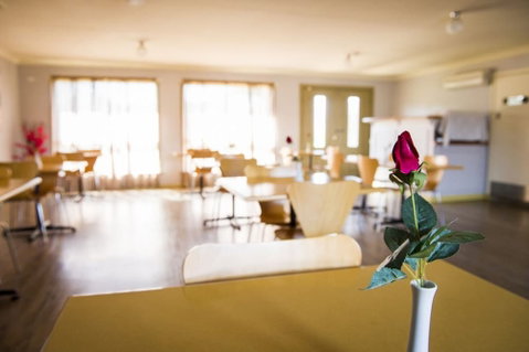 Cherry Blossom Motel - Tourism Gold Coast 1