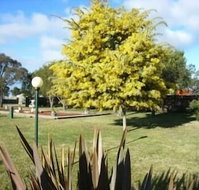 Bairnsdale Main Motel - Tourism Gold Coast