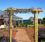 Lavendale Farmstay  Cottages York - Tourism Gold Coast
