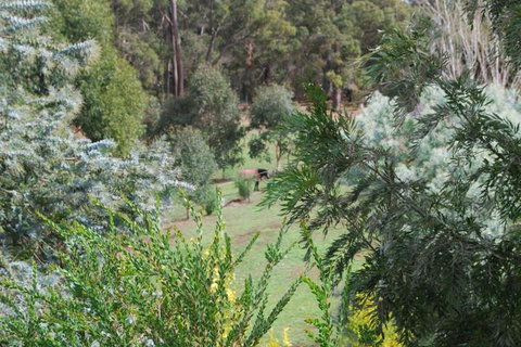 Riverwood Retreat - Tourism Gold Coast 4