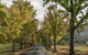 Clarendon Forest Retreat - thumb 1
