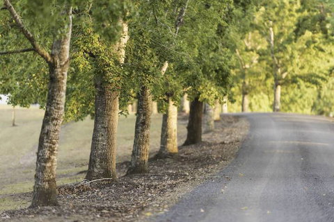 Clarendon Forest Retreat - Tourism Gold Coast 3