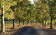Clarendon Forest Retreat - thumb 2