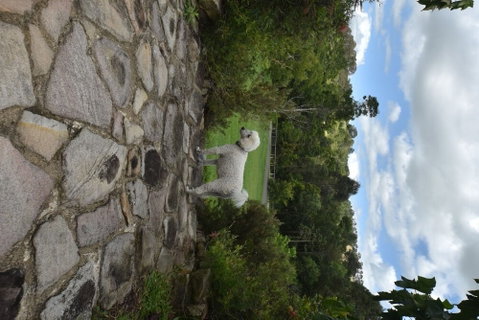 Coverdales B & B At Eumundi - Tourism Gold Coast 0