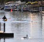 Sunsea Waterfront South Yunderup - Gold Coast