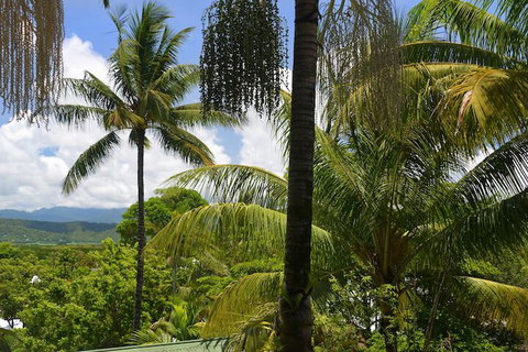Monsoon Villa B - Tourism Gold Coast 5