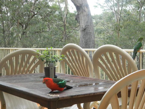 Aqua Vista - Tourism Gold Coast 4