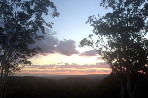 Phoenix Eumundi Bed & Breakfast - Tourism Gold Coast 1