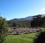 Hawksview at Mafeking - Tourism Gold Coast