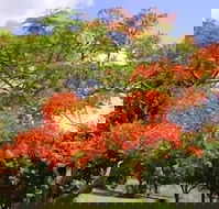 Eastwood Farm - Tourism Gold Coast