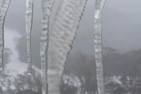 Aneeki Ski Lodge - Gold Coast 4