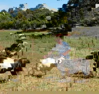 Country Cottages of Bridgetown - Tourism Gold Coast