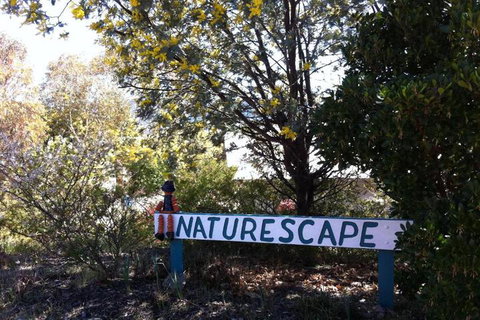 Naturescape - Gold Coast 7