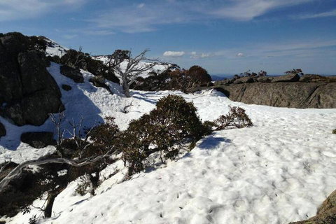 Naturescape - Gold Coast 6