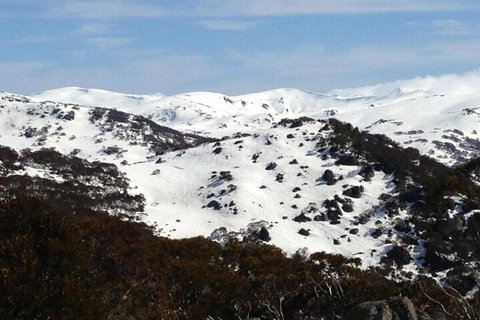 Naturescape - Gold Coast 5