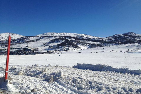 Naturescape - Gold Coast 3