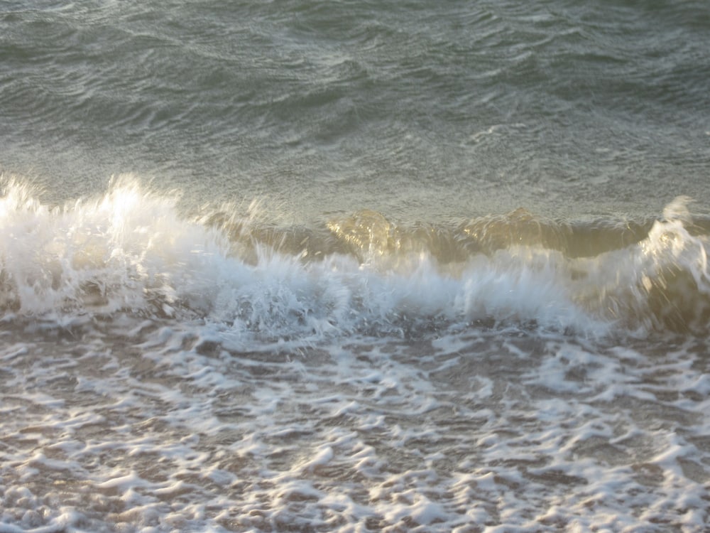 Dampier WA Tourism Gold Coast