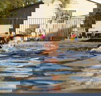 Riverside Cabin Park - Tourism Gold Coast