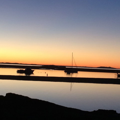 Sunbird Gardens - Tourism Gold Coast 5