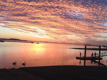 Sunbird Gardens - Tourism Gold Coast 4