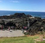 Sea Whispers - Tourism Gold Coast