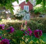 A Country Barn Retreat - Tourism Gold Coast