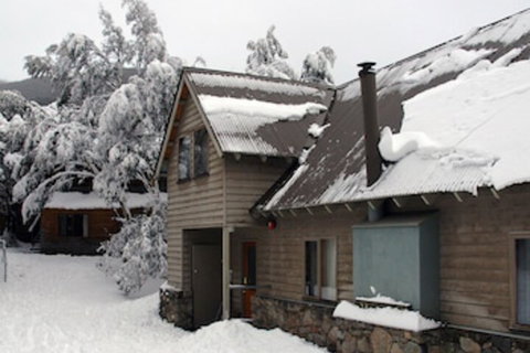 Bollygums - Gold Coast 0