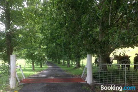 Whispers At Cedar Grove - Tourism Gold Coast 7