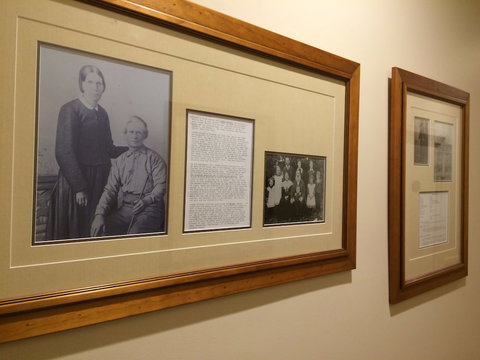 Eumundi Gridley Homestead B&B - Gold Coast 3