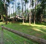 Fernglade on Menzies - Tourism Gold Coast