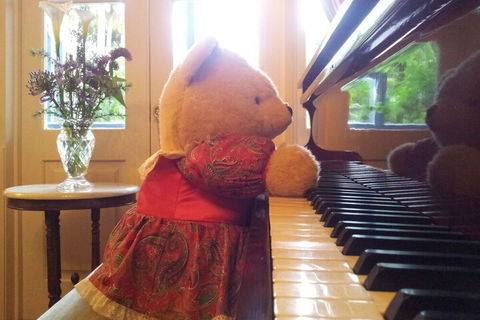 Amore Mt Tamborine - Tourism Gold Coast 4