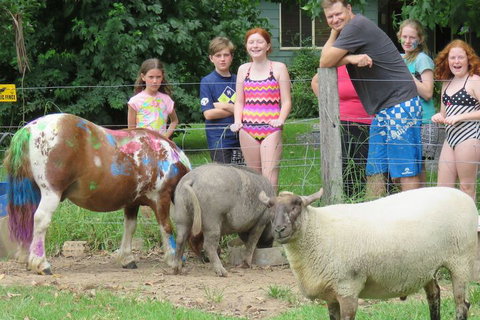 Kings Creek Retreat - Tourism Gold Coast 1