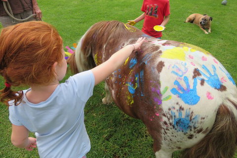 Kings Creek Retreat - Tourism Gold Coast 3