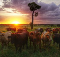 Myella Farm Stay - Tourism Gold Coast