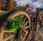 Bellum Hotel - Tourism Gold Coast