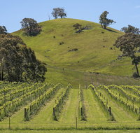 Blue House at Mountainside Wines