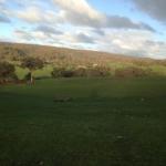 Adjungbilly ACT Tourism Gold Coast